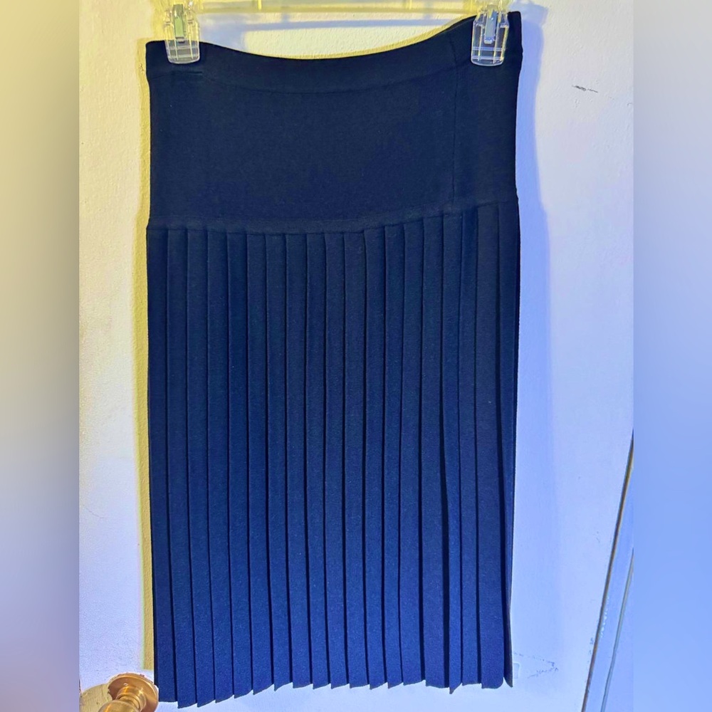 Petite Black Pleated Knee Length Knit Skirt from Jones New York Collection